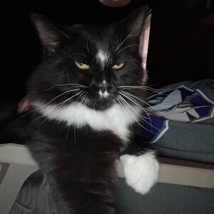 Meet your Posher, Keri